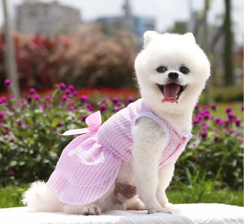 BOW Letnia sukienka z kokardą dla psa różowa