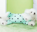 BEAR piżama dla psa lub kota zielona