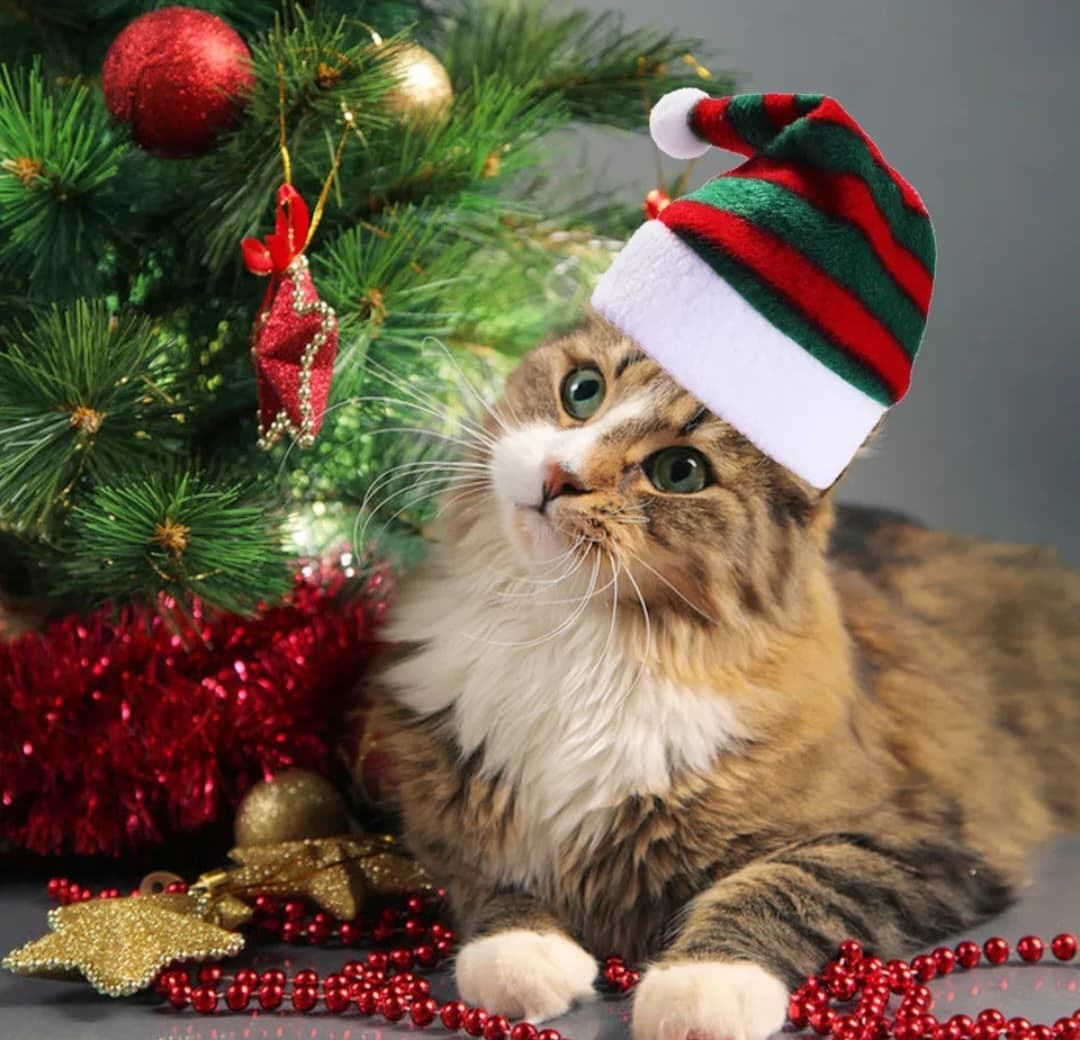 SANTAS HAT czapka świąteczna w paski dla psa lub kota SANTAS HAT czapka świąteczna w paski dla psa lub kota