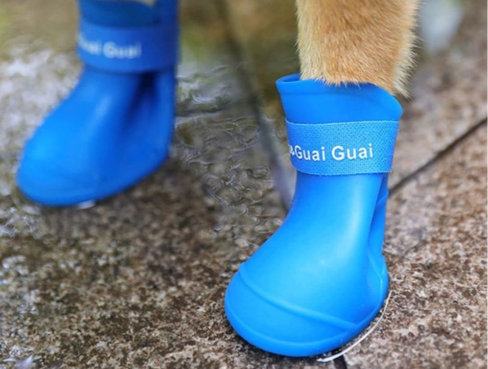 GUAI kalosze antypoślizgowe dla psa niebieskie