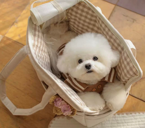 PUPPY torba dla psa lub kota beż PUPPY torba dla psa lub kota beż