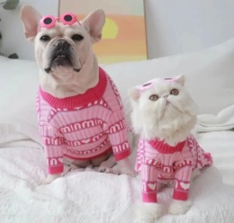 AMOOR EXCLUSIVE sweter dla psa i kota róż