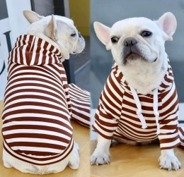 Bawełniana bluza w paski z kapturem dla psa lub kota STRIPED
