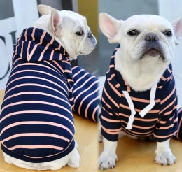 Bawełniana bluza w paski z kapturem dla psa lub kota STRIPED