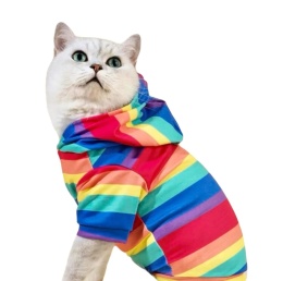 Bluza w kolorowe paski dla psa lub kota RAINBOW