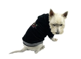 Bluza z bawełny frotte dla psa WOOF czarna