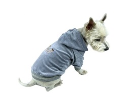 Bluza z bawełny frotte dla psa WOOF szara