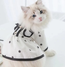Elegancka sukienka dla psa lub kota BLACK&WHITE