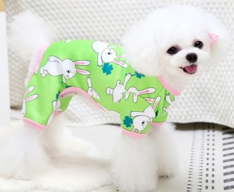 RABBIT kombinezon/ piżama wzór dla psa lub kota