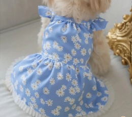 Sukienka dla psa lub kota DAISY niebieska