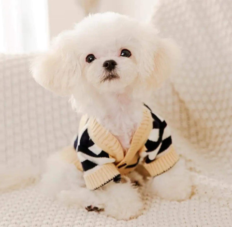Sweter dla psa lub kota CARDIGAN Sweter dla psa lub kota CARDIGAN