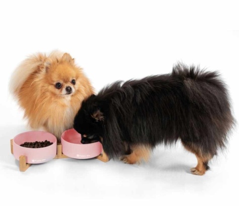 Ceramiczne miski dla psa lub kota na bambusowym stojaku HAPPY DOG Ceramiczne miski dla psa lub kota na bambusowym stojaku HAPPY DOG