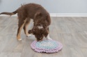 Gra aktywizujaca dla psów Junior SNIFFING CARPET