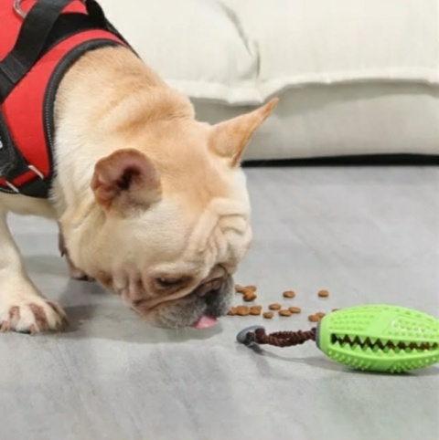 Gryzak na smaczki PAWS czerwony