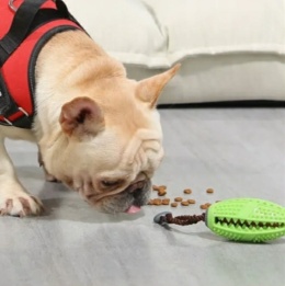 Gryzak na smaczki PAWS zielony