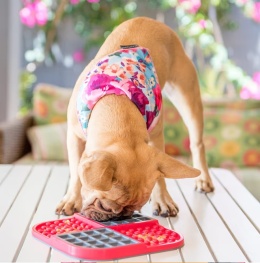 Mata do lizania dla psa LickiMat Slomo turkusowa