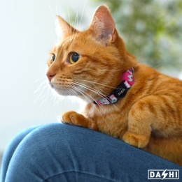 Obroża dla kota Dashi Flamingo