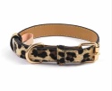 Obroża dla psa lub kota w panterkę WILD