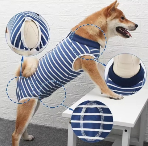 Ubranko pozabiegowe, pooperacyjne dla psa lub kota DOGGY Ubranko pozabiegowe, pooperacyjne dla psa lub kota DOGGY