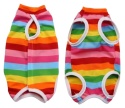 Ubranko pozabiegowe, pooperacyjne dla psa lub kota RAINBOW