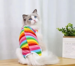 Ubranko pozabiegowe, pooperacyjne dla psa lub kota RAINBOW