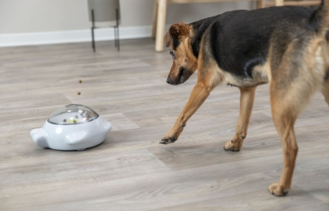 Zabawka karmiąca dla psów SNACK POPPER