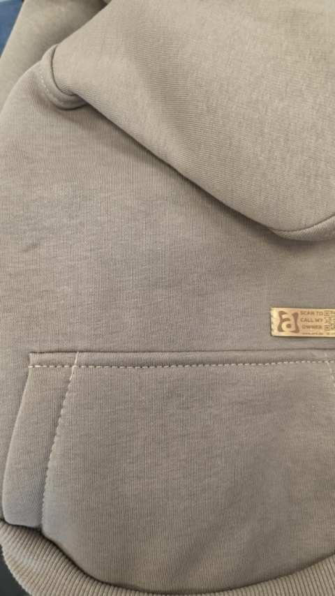 Bluza z kapturem Texas Beżowy