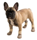 Skarpetki antypoślizgowe dla psa lub kota PET SOCKS brązowe