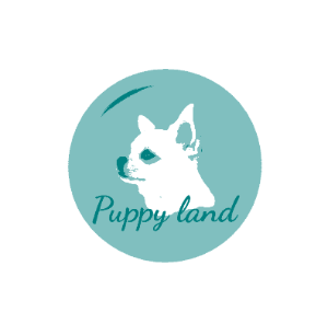 Puppy land