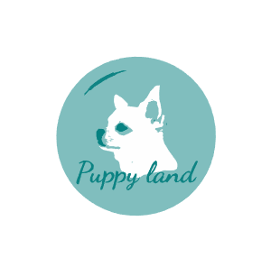  Puppy land 