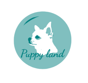 Puppy land
