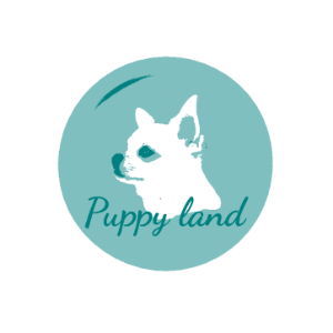  Puppy land 