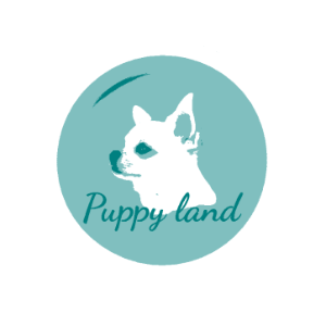 Puppy land