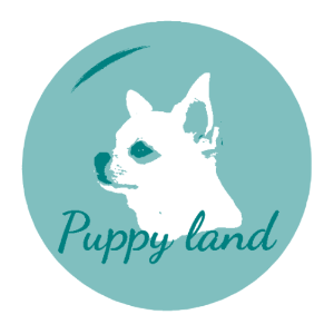  Puppy land 