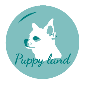 Puppy land